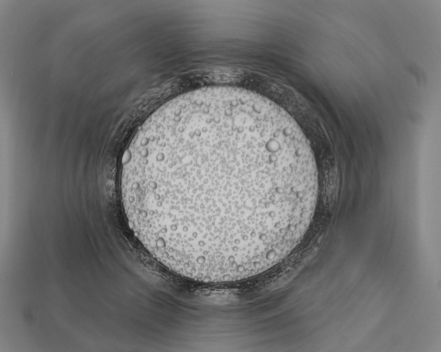 X0000112540553200909281101