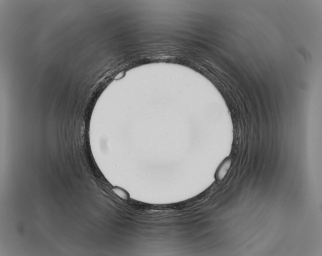 X0000112540556200909281101