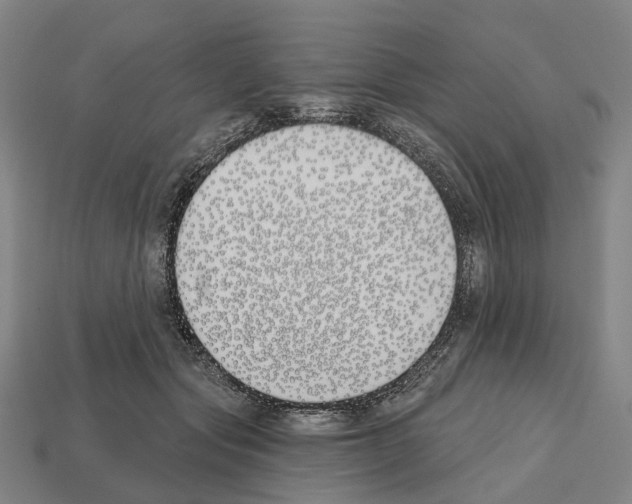 X0000112540557200909281101