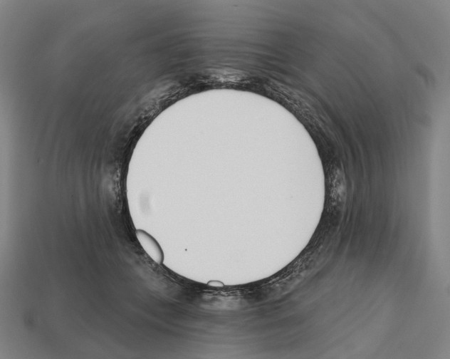 X0000112540559200909281101