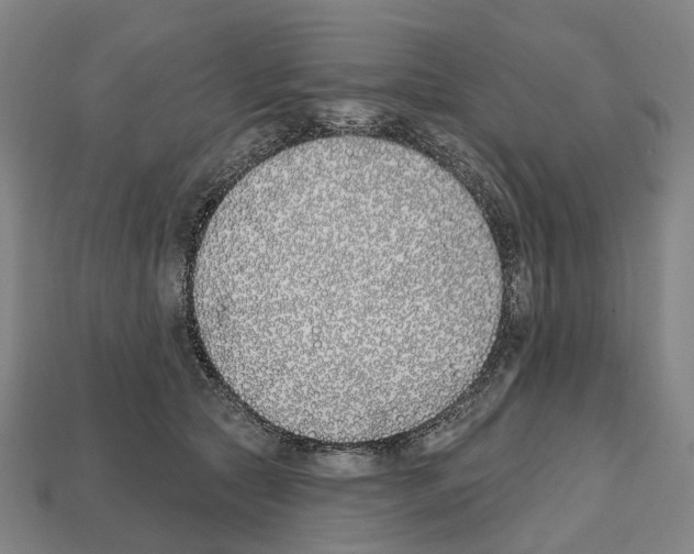 X0000112540561200909281101