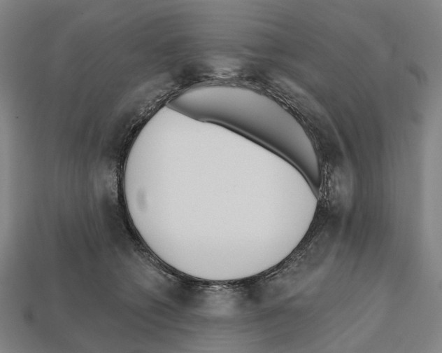 X0000112540562200909281101