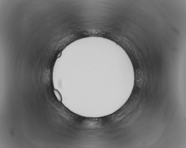 X0000112540563200909281101