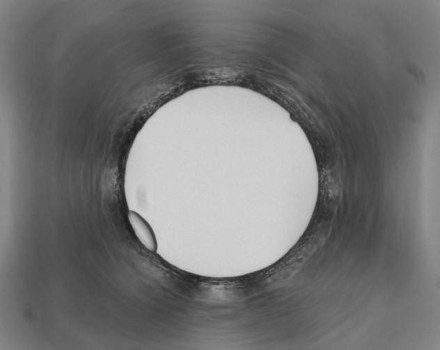 X0000112540564200909281101