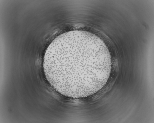 X0000112540565200909281101
