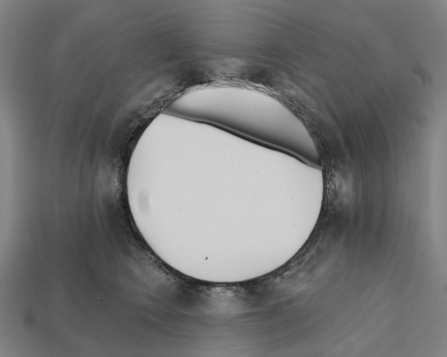 X0000112540566200909281101