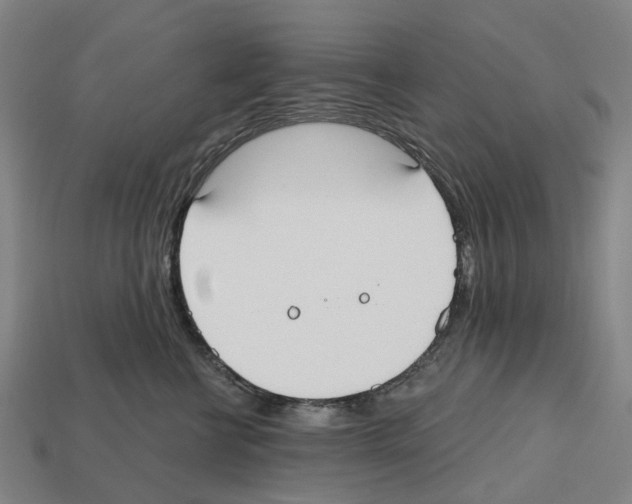 X0000112540570200909281101