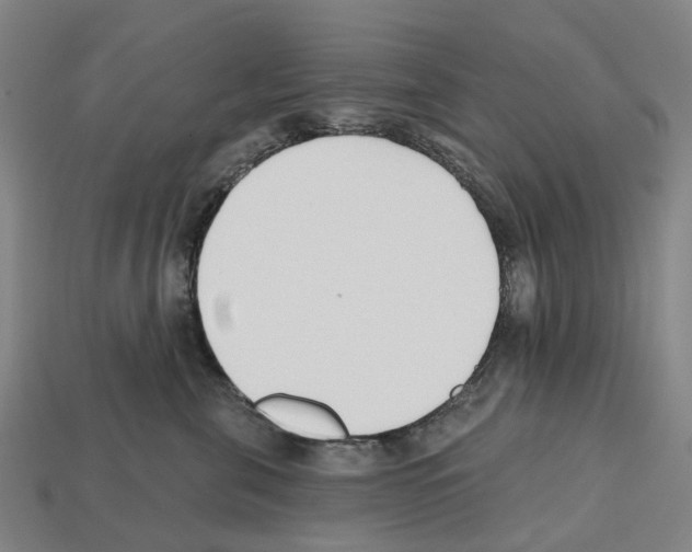 X0000112540571200909281101