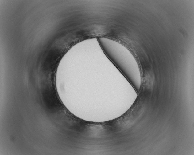 X0000112540572200909281101