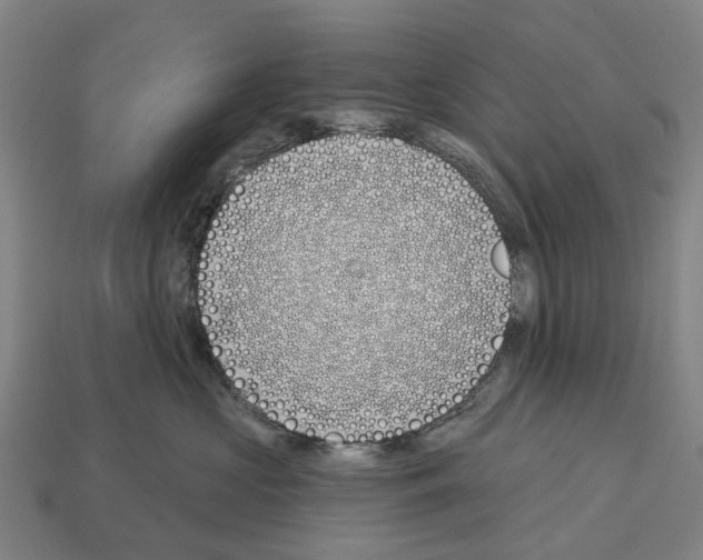 X0000112540573200909281101