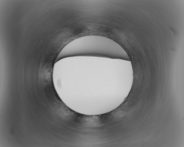 X0000112540576200909281102
