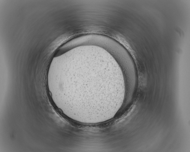 X0000112540577200909281101