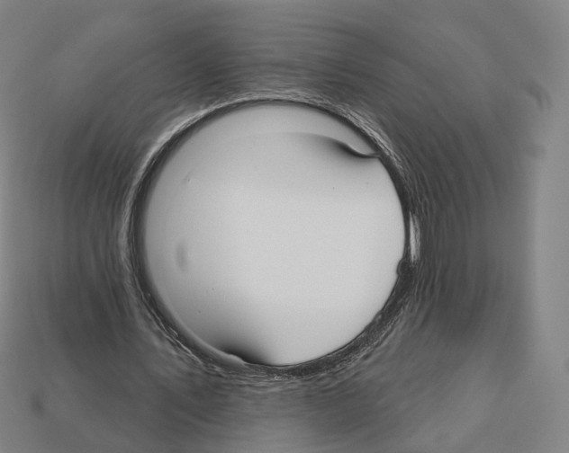 X0000112540579200909281101