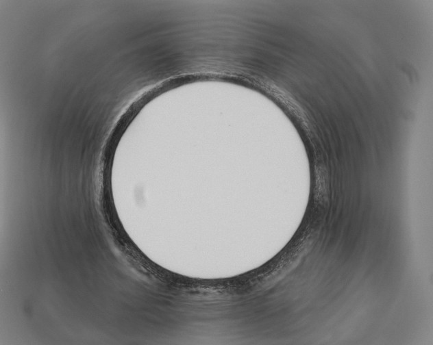 X0000112540580200909281101