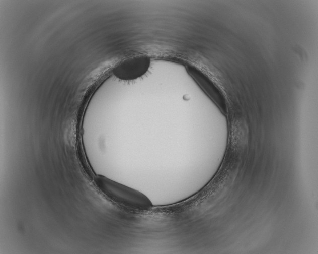 X0000112540581200909281101