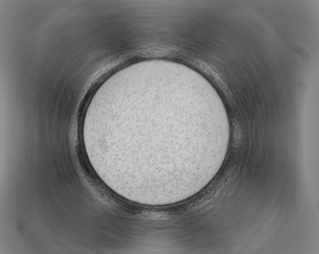 X0000112540582200909281101
