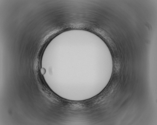 X0000112540583200909281101