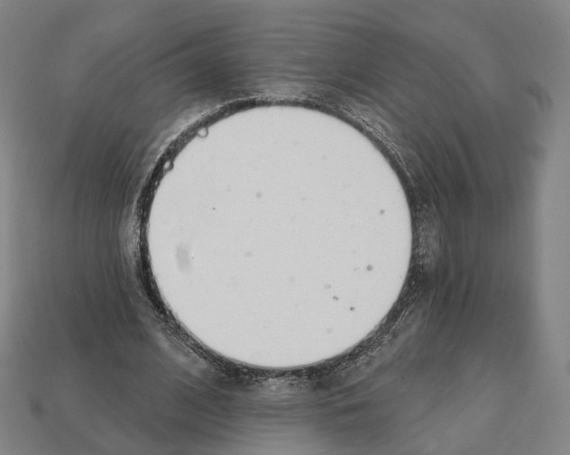 X0000112540584200909281101