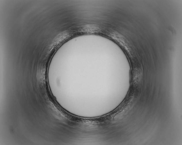 X0000112540585200909281101