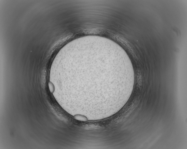 X0000112540586200909281101