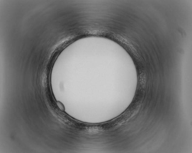 X0000112540587200909281101