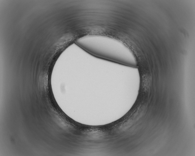 X0000112540589200909281101