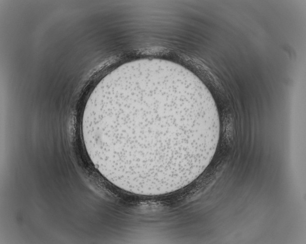 X0000112540591200909281101