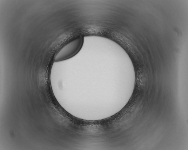 X0000112540593200909281101