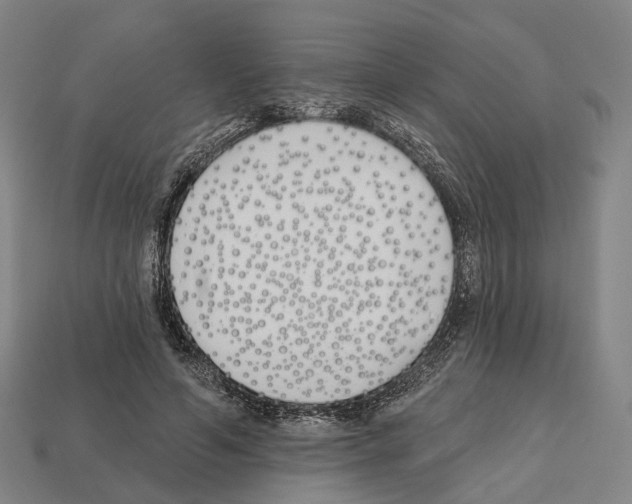X0000112540594200909281101