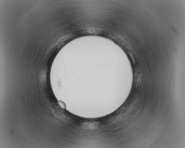X0000112540595200909281101