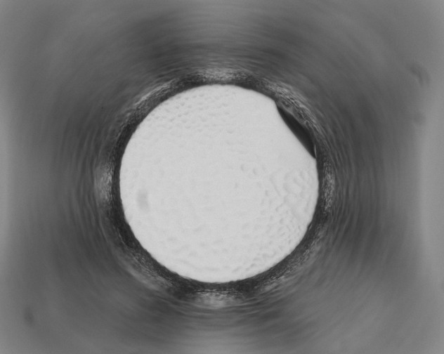 X0000112540596200909281101