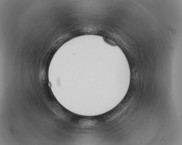 X0000112540597200909281101