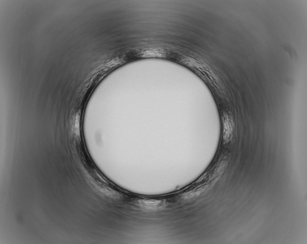 X0000112540598200909281101