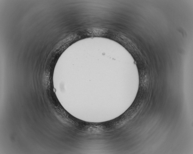X0000112540599200909281101