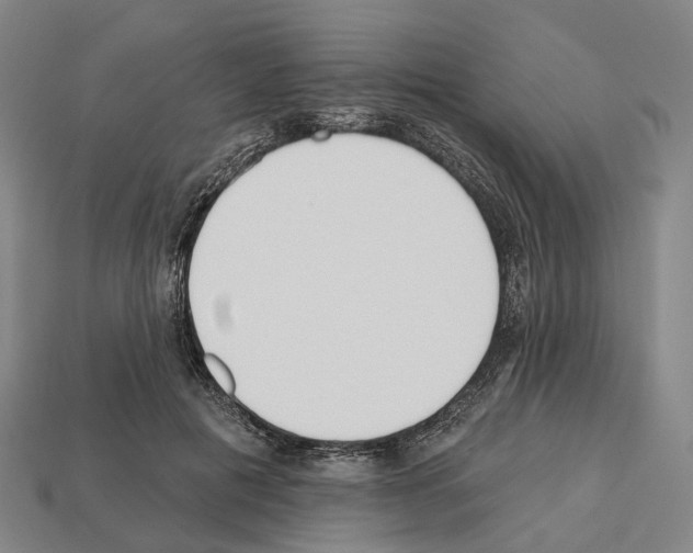 X0000112540601200909281101