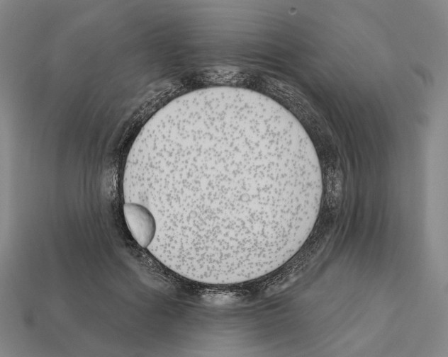 X0000112540602200909281101