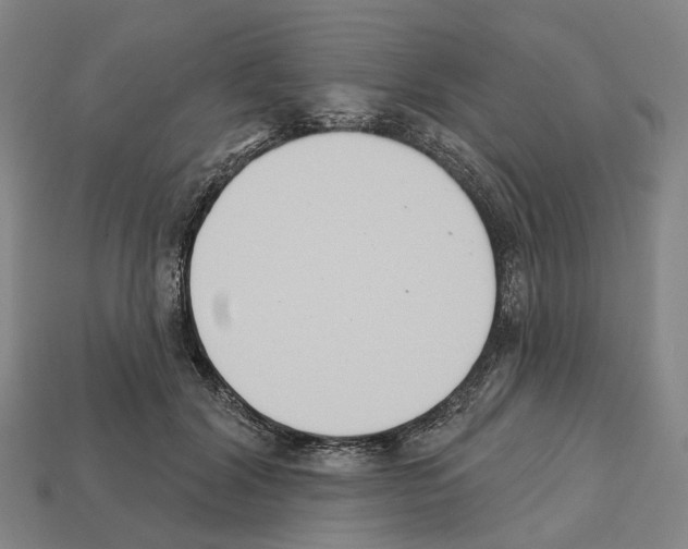 X0000112540604200909281101