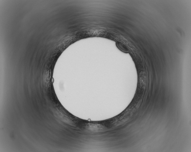 X0000112540605200909281101
