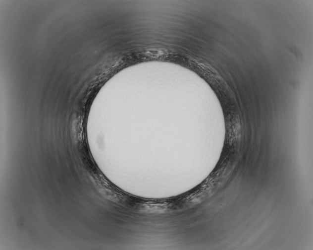 X0000112540606200909281100