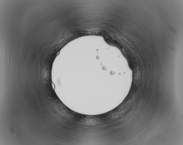 X0000112540608200909281100