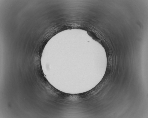 X0000112540609200909281100