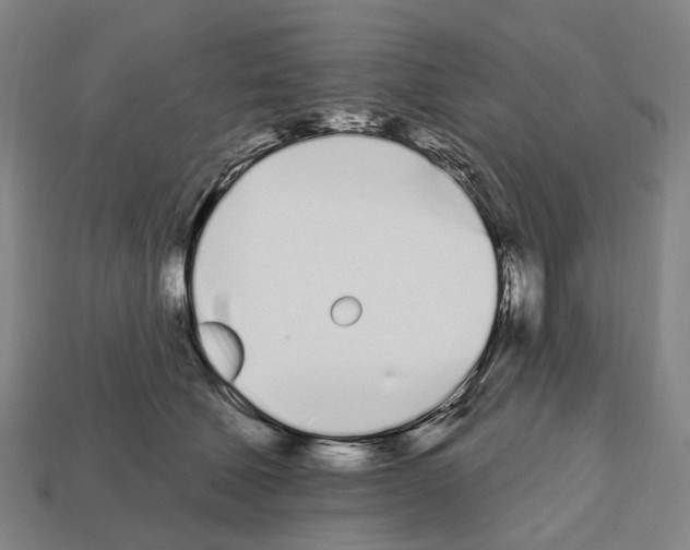 X0000112540610200909281100