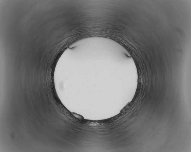 X0000112540611200909281100