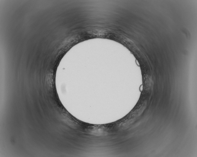 X0000112540612200909281100