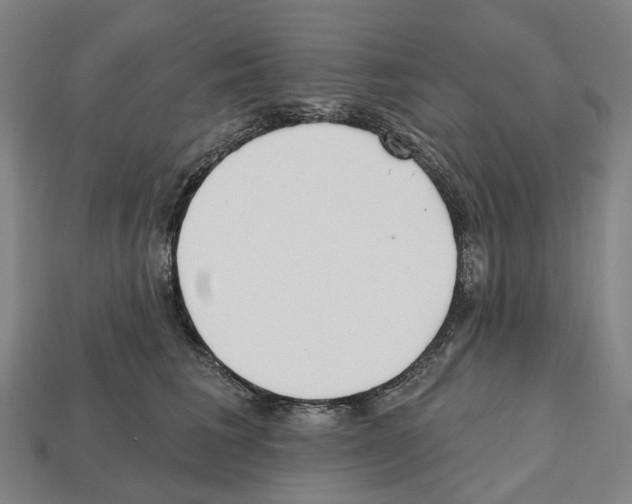 X0000112540613200909281100