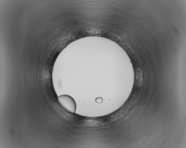 X0000112540614200909281100