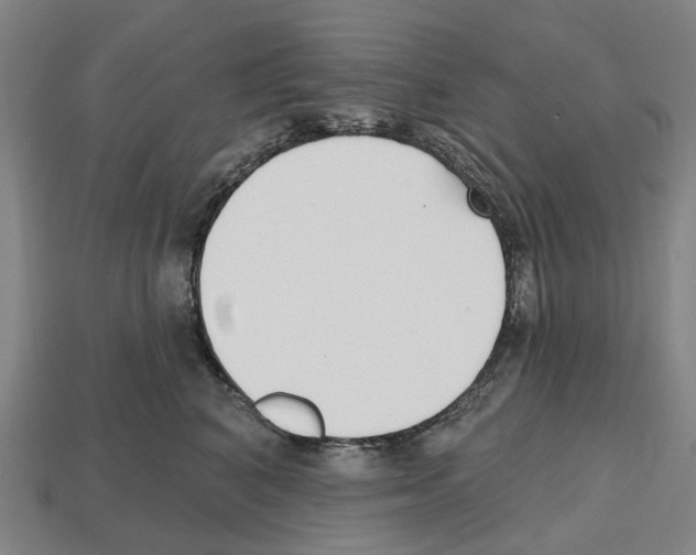 X0000112540616200909281100