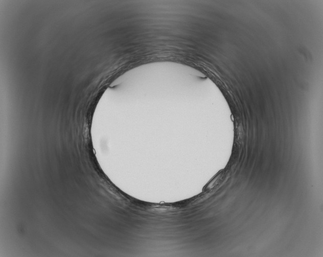 X0000112540617200909281100