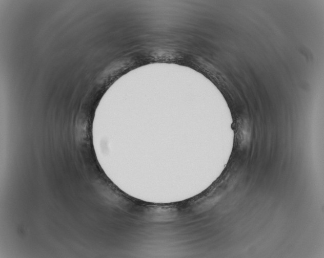 X0000112540619200909281100