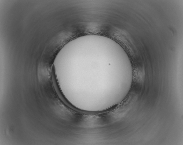 X0000112540621200909281100
